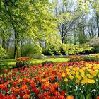 Spring Wallpapers HD simgesi