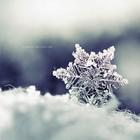 Winter Wallpapers HD icono