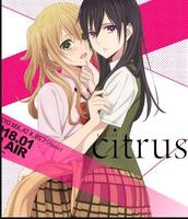 Anime Citrus Wallpapers پوسٹر