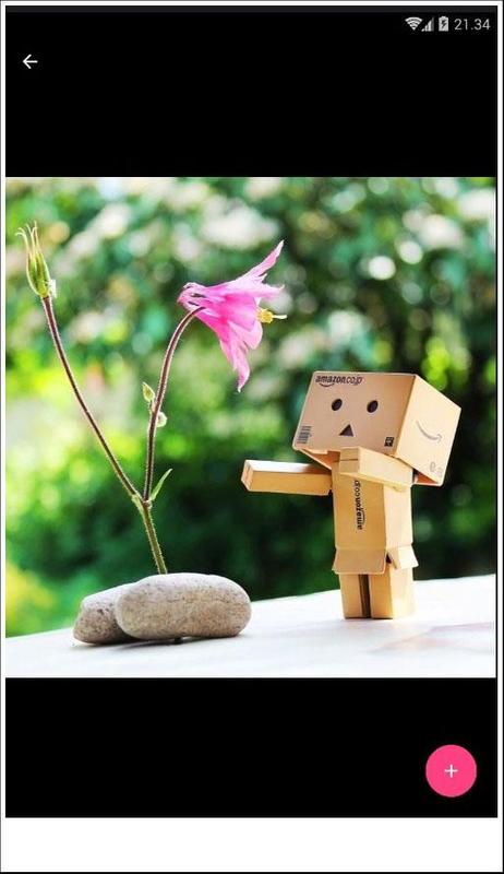 danbo hd wallpaper for