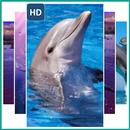 Wallpaper Dolphins APK