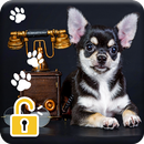 Chihuahua Puppy Dog PIN Lock Screen Wallpaper APK