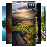 Wallpaper HD 4K icon