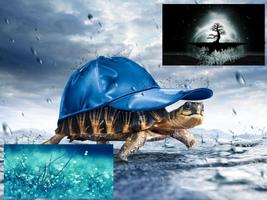 Flipper -  Wallpaper Slideshow постер