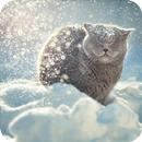 Snow Cat Wallpaper aplikacja