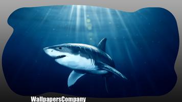 Megalodon Wallpaper Affiche