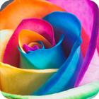 آیکون‌ Neon Flowers Wallpaper