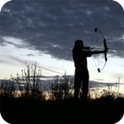 Archery Wallpaper simgesi