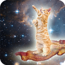 Cat Galaxy Wallpaper APK