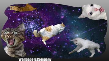 Cat Galaxy Wallpaper Affiche