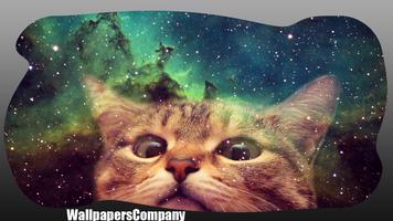 Cat Galaxy Wallpaper capture d'écran 3