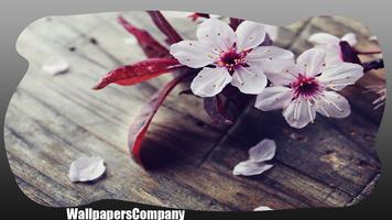 Cherry Blossom Wallpaper capture d'écran 2