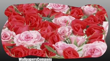 Roses Red Wallpaper স্ক্রিনশট 3