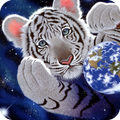 White Tiger Pack 2 Wallpaper