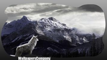 White Wolf Wallpaper syot layar 2