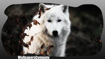 White Wolf Wallpaper syot layar 3