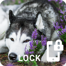 Husky Lock Screen Wallpaper Pattern Backgrounds APK