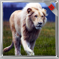 White Lion Wallpaper