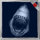 Megalodon Pack 2 Wallpaper icon