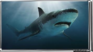 Megalodon Pack 2 Wallpaper Screenshot 3