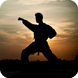 Martial Arts Live Wallpaper icône