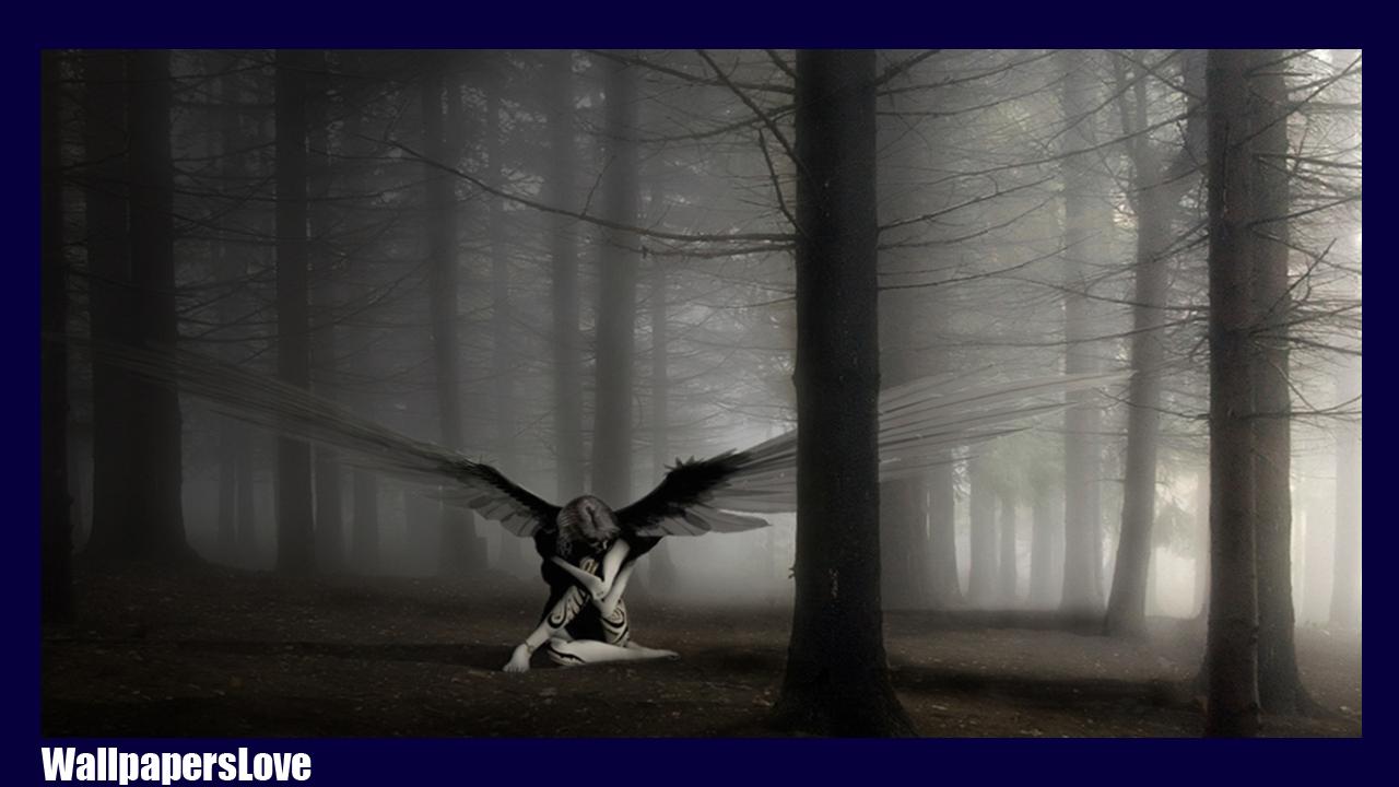 Fallen Angel Wallpaper For Android Apk Download Fallen Angel Wallpaper For Android Apk Download