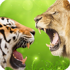 Big Cats Wallpaper آئیکن