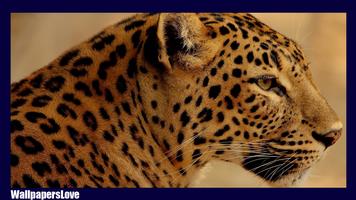 Jaguar Animal Live Wallpaper capture d'écran 3