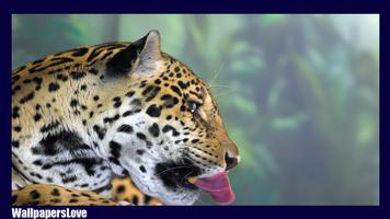 Jaguar Animal Live Wallpaper Affiche