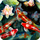 Koi Fish Live Wallpaper icône