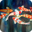 Koi Fish Pack 3 Live Wallpaper APK