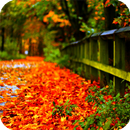 Leaves Live Wallpaper APK