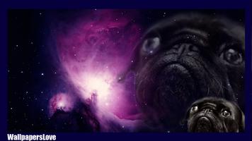 Pug Dog Pack 2 Wallpaper capture d'écran 3