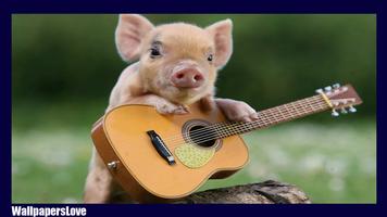 برنامه‌نما Little Pig Live Wallpaper عکس از صفحه