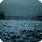 Rain Live Wallpaper simgesi