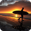 Sunset Surf Live Wallpaper