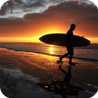 Sunset Surf Live Wallpaper icon