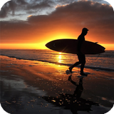 Sunset Surf Live Wallpaper-icoon