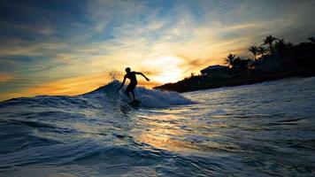 Sunset Surf Live Wallpaper syot layar 2