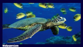 Turtle Live Wallpaper imagem de tela 3