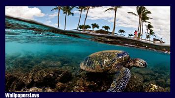 Turtle Live Wallpaper imagem de tela 1