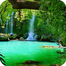 Waterfall Forest HD Wallpaper-APK