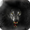 Werewolf Pack 4 Live Wallpaper