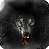 Werewolf Pack 4 Live Wallpaper icon