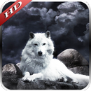 Wolf Pack 2 HD Wallpaper-APK