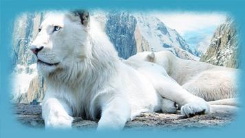 White Lion HD Wallpaper capture d'écran 1
