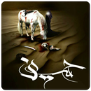 Muharram Wallpapers APK