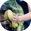 Wash a Car by Hand