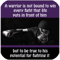 The Warrior Mindset