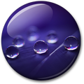 Water Drops Live Wallpaper